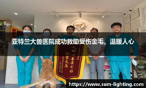 亚特兰大兽医院成功救助受伤金毛，温暖人心
