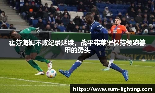 霍芬海姆不败纪录延续，战平弗莱堡保持领跑德甲的势头