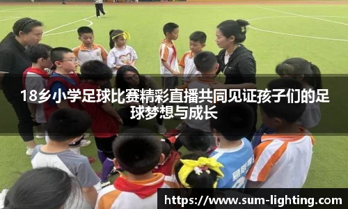 18乡小学足球比赛精彩直播共同见证孩子们的足球梦想与成长